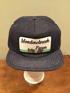 Vintage Modern Farm SnapBack Denim Hat Cody, Wyoming Brand New - Picture 1 of 6