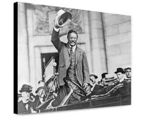 Canvas Print: Theodore Roosevelt, Three-Quarter Length Portrait, Standing Up In - Picture 1 of 4
