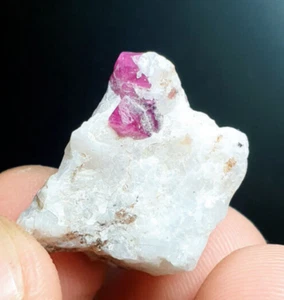 31 carati esemplare rubino qualità molto bello pezzo - Foto 1 di 5