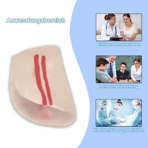 Ultraschall geführte Femoralpunktion Transparenz Modell, mit Arterie und Vene DE - Bild 1 von 9