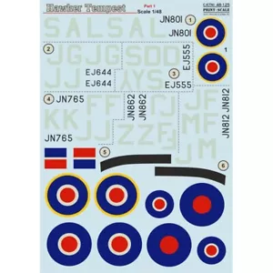 Calcomanías de tobogán acuático escala 48-125 impresión avión 1:48 Hawker Tempest parte 1 - Imagen 1 de 12
