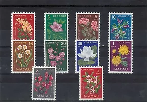 MACAO / MACAU SET FLOWERS (1953) MNH (**) - Picture 1 of 1