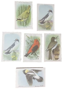 1938 Useful Birds of America Trade Cards Arm Hammer Cow Brand Lot of 6 Litho - Picture 1 of 12