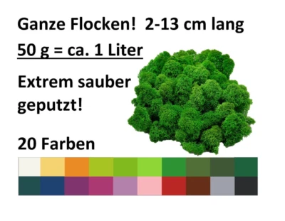 50g Islandmoos gereinigt | ganze Flocken | Rentiermoos konserviert & gefärbt - Bild 1 von 4