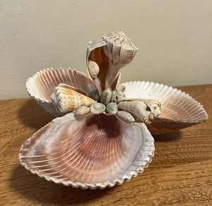 Piatto portagioie vintage conchiglia arte spiaggia nautica 4,5 x 7,5 pollici - Foto 1 di 8