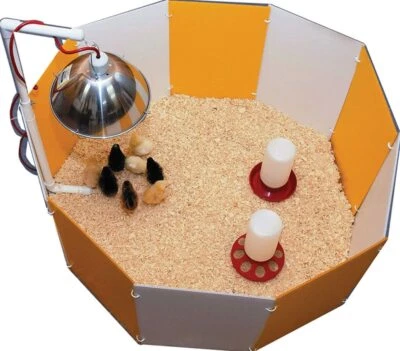 Pluma incubadora Farm Innovators Baby Chick Starter Home con colgador de lámpara ajustable Foto 1 de 2