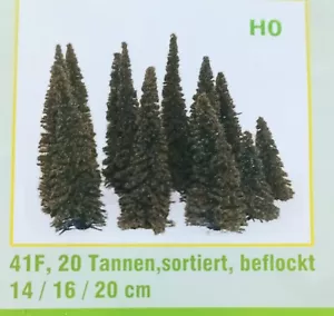 Twenty fir trees mixture of 14, 16 & 20cm. high from Jordan Code 41F - Picture 1 of 7