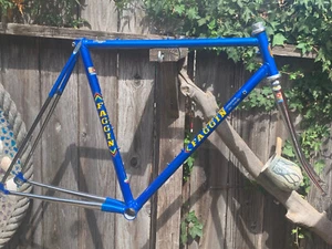 54cm Faggin Campione del Mundo, Refinished Vintage Steel Frame-Set + Extras - Picture 1 of 9