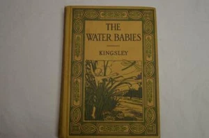 1916 THE WATER BABIES BY CHARLES KINGSLEY ILLUSTRATED BY FLORENCE LILEY YOUNG - Picture 1 of 10
