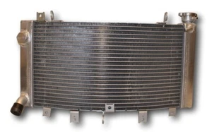 NUEVO Radiador PARA 99-2007 Suzuki Hayabusa GSXR1300R/1300RZ 00 01 02 03 04 05 06 - Imagen 1 de 2