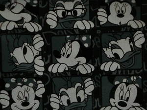 DISNEY MINNIE & DAISY BLACK & WHITE CROSSBODY/PASSPORT CANVAS BAG NWOT/NOS - Picture 1 of 12