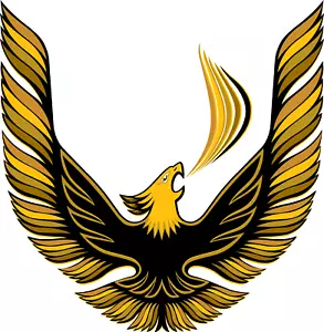 Pontiac Firebird Trans AM Vintage American Muscle Car Vinyl Sticker Decal Hood - Picture 1 of 1