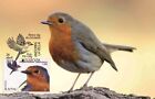 Spanish Andorra 2019 - Europa C.E.P.T. birds maximum card