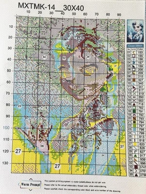 Frozen Cross Stitch Kit 30 x 40 Embroidery Thread Pattern Arts & Crafts Hobbies - Image 1 of 4