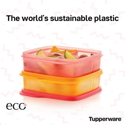 Tupperware Eco Lunch It Divided Container Set of 2 Sandwich Wraps Snacks NEW - Image 1 of 4