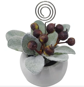 MARTHA STEWART COLECCIÓN BAYAS DE SALVIA TARJETERO LUGAR NAVIDAD 4.25" NUEVO - Imagen 1 de 4