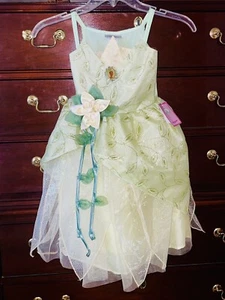 DISNEY PARKS Girls FROG PRINCESS TIANA Sparkly Costume DRESS Sz 2/3 NWT - Picture 1 of 4