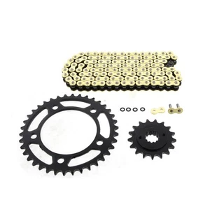 2010 Honda VT750RS Shadow 750 CZ SDZZ Gold X Ring Chain & Sprocket Kit 17/38 122 - Bild 1 von 2