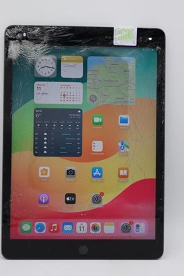 Apple iPad 9.Gen. 2021 10.2" Wifi+LTE 256GB Grau LCD+Displayschaden #5930 - Bild 1 von 4