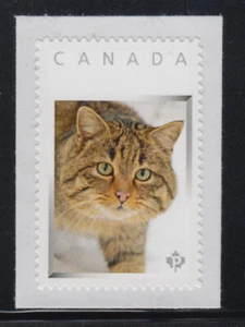 GATO SALVAJE EUROPEO = escaso = sello postal con foto MNH Canadá 2013 [p3-w5/7] - Imagen 1 de 2