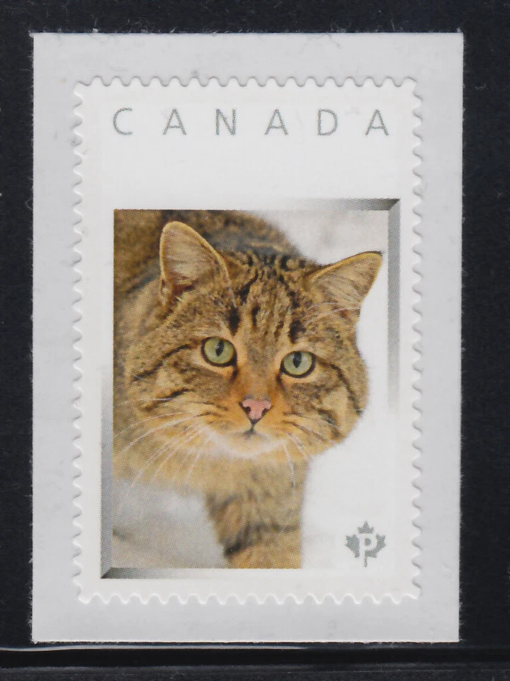 EUROPEAN WILD CAT = Scarce = Picture Postage stamp MNH Canada 2013 [p3-w5/7] - Image 1 of 2