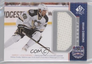 2014 SP Game Used Stadium Series/Winter Classic Materials Jersey Brian Gibbons