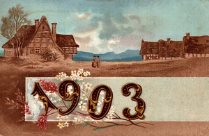ANNO DATA 1903 - YEAR DATE 1903 - Paesaggio - Rilievo, Embossed - NV - Picture 1 of 2