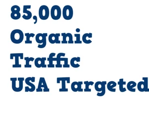 85,000 Real USA Organic TRAFFIC from Search Engine Referrals & 6 Keywords - Picture 1 of 5