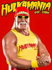 Póster de Hulk Hogan WWE 11,69x15,54 Hulkamania Est 1984 - Imagen 1 de 1