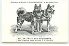 Race de Trait des Esquimaux - 1er Prix Exposition Canine de Paris  à M.  - 8096