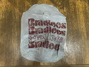 Vintage Bradlees Plastic Shopping Bag 16" X 18" 1980's 1990's Department Store - Picture 1 of 2