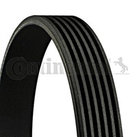 V-Ribbed Belt Fits RENAULT NISSAN Clio Grandtour II Box III Kangoo 1172000Q2C V-Ribbed Belt Fits RENAULT NISSAN Clio Grandtour II Box III Kangoo 1172000Q2C