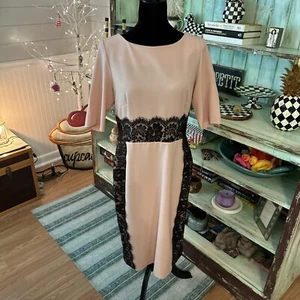 Julian Taylor New York Blush Sheath Dress Women's Size 12 Pale Pink Black Lace - Picture 1 of 7