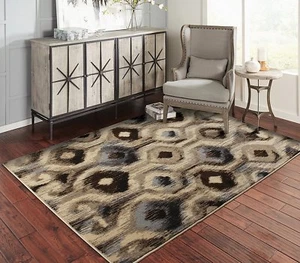 Modern Area Rugs for Living Room 8x10 Floral Rug 5x7 - Picture 1 of 5
