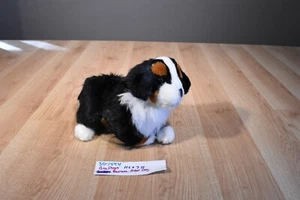 Peluche Big Dogs Bernese Mountain Dog (310-1594) - Imagen 1 de 5