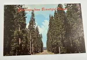Greetings From Beautiful Oregon Postcard Trees Nature Lover Vintage Canyonville - Picture 1 of 2