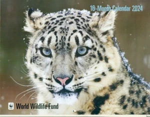 SAMMLERKALENDER - 2023-2024 - PINGUINE + SCHNEELEOPARD + ELEFANT + PANDA + LÖWE - Bild 1 von 2