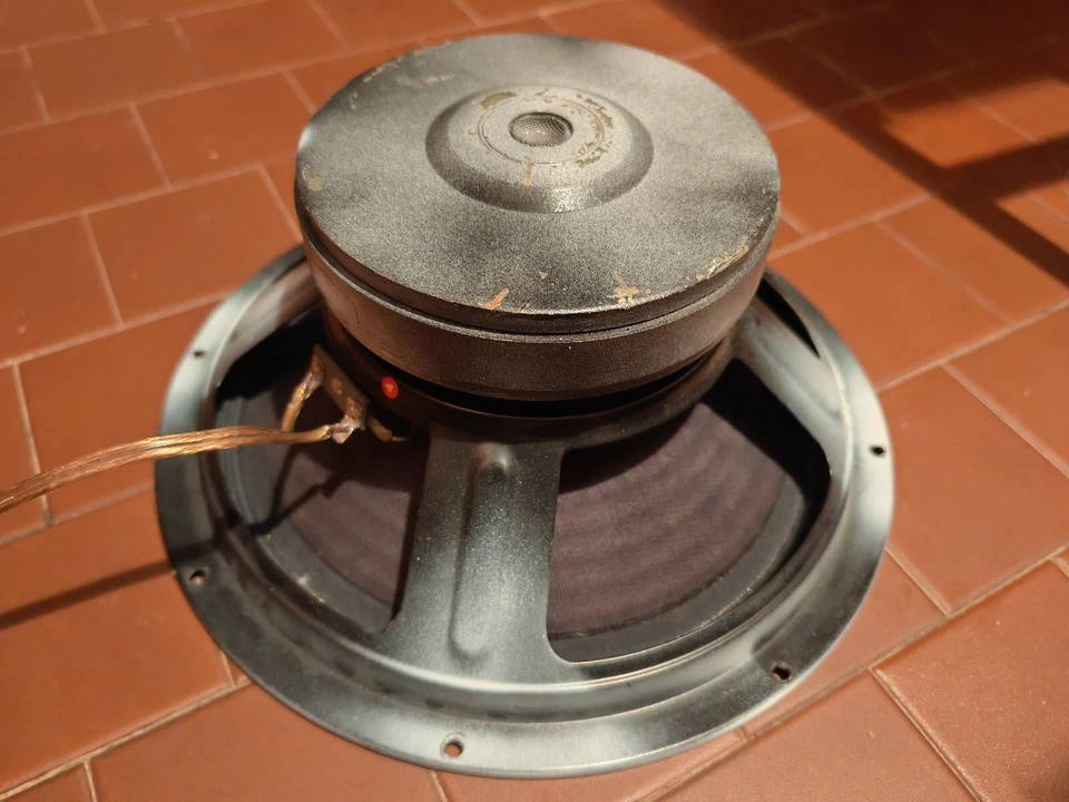 Subwoofer Artigianale 32cm Bobina 64mm Max 350 Watt RMS - Immagine 1 di 2