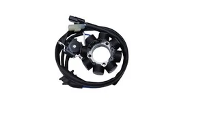 STATORE MOTORE ALTERNATORE GENERATORE PER HONDA CRF 250 R (2004-2009) - Imagen 1 de 9