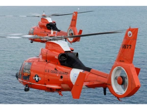 Impresión fotográfica de gemelos HH-65C / talla U elige - Imagen 1 de 1