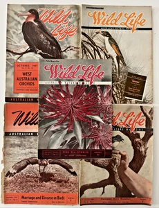 Wild Life Australian Nature Magazine Vintage Bird flora Wildlife 1947 Lot 5 - Bild 1 von 13