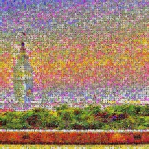Ferry Building in Bloom - 20"x20" Mosaic Photo Print - Picture 1 of 7