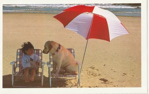 Vintage postcard Golden Retriever dog best friend umbrella beach chairs American - Picture 1 of 6