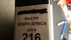 Stampsweis South Africa collection in 3 ring binder est many 100s stamps 