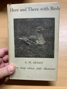 1933 "HERE AND THERE WITH BIRDS" 1ST ED ILLUSTRATED HARDBACK BOOK (P4) - Picture 1 of 21
