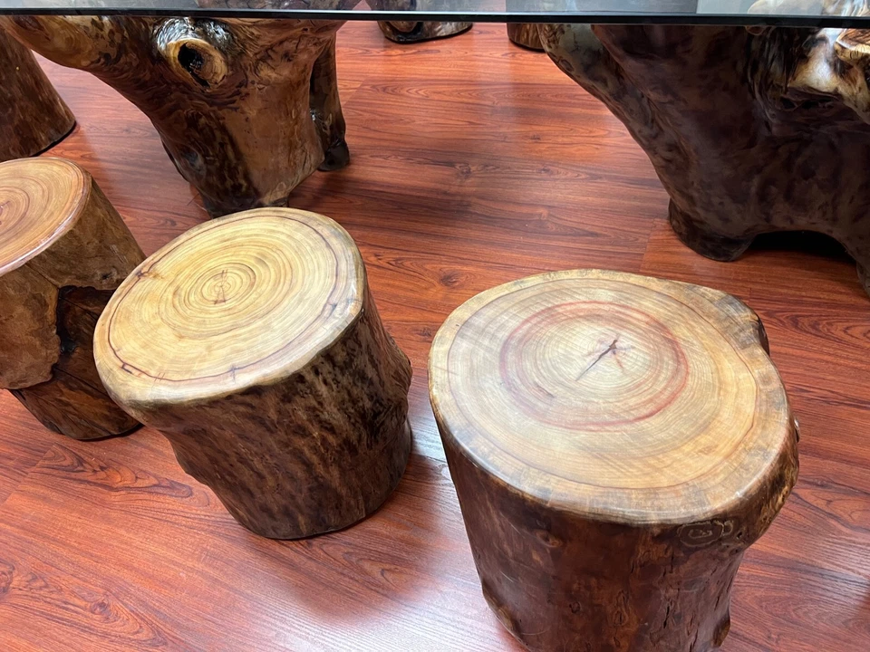 Taburetes de tocón de árbol de madera maciza de 2 piezas Foto 1 de 2