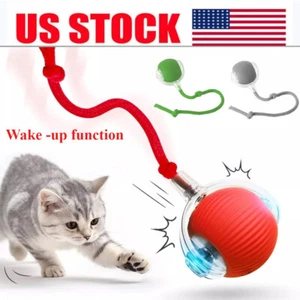 Automatic Rolling Ball Smart Cat Dog Toy Electric Pet Interactive Self-Moving - Picture 1 of 22