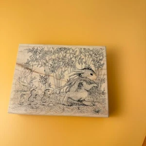 Carrot Harvest~Bunny~Garden~House Mouse Rubber Stamp~5.5"X 4.25"~Stampa Rosa 250 - Picture 1 of 8