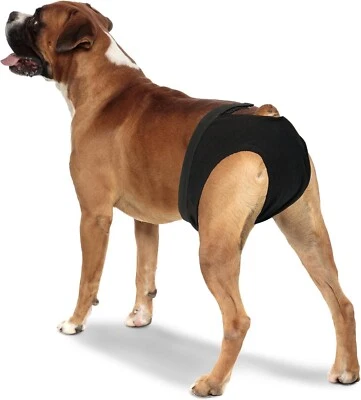 CROCI Monatshöschen für Hunde 50 oder 70cm Umfang Doggy Pants - Bild 1 von 4