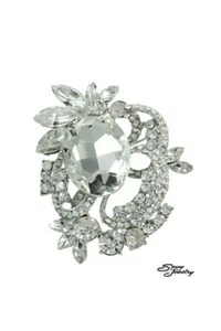 Broche de piedra ovalado grande transparente/plateado SX5175P1S - Imagen 1 de 1